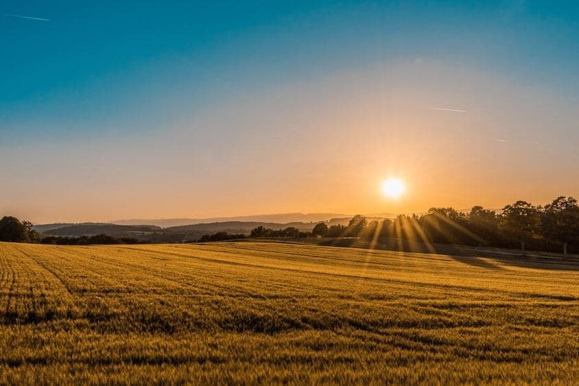 Open agricultural land at sunrise